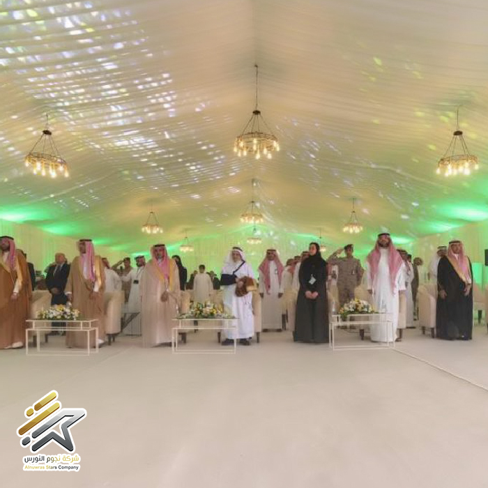 تنسيق داخلي فاخر